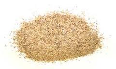 seeds